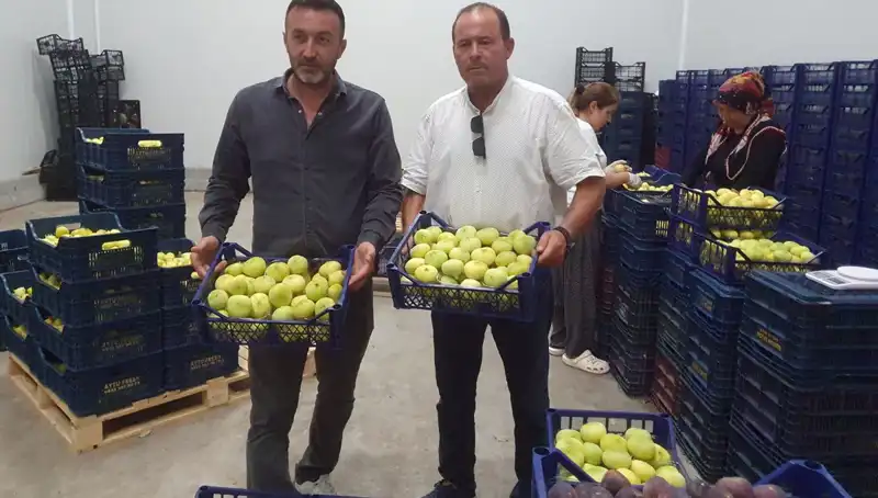 Mersinli Çiftçilerin Yüzü Gülüyor: İhraç Edilen Ürün Fiyatları Arttı