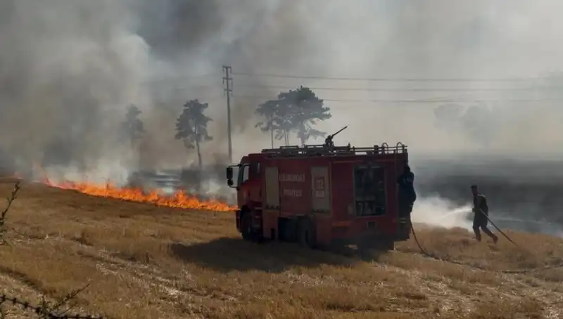 Kırklareli'nde Korkutan Anız Yangını: 100 Hektar Alan Küle Döndü