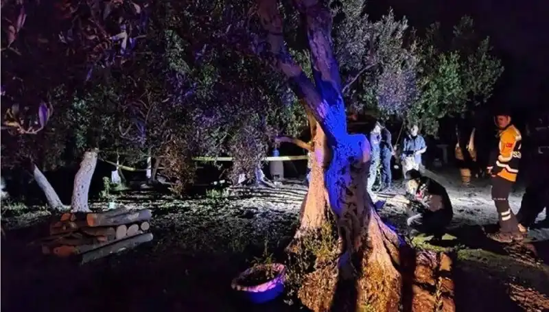 Çiftlikte Bulgar Gartzan'a Dair Baltalı Vahşet: Bir Tutuklama Süreci