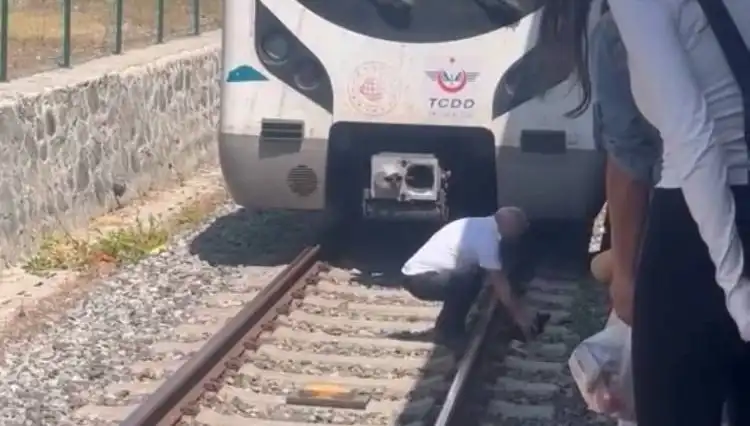 Makinist, Marmaray'ı Durdurarak Sahip Çıktı: Kedinin Hayatı Kurtuldu!
