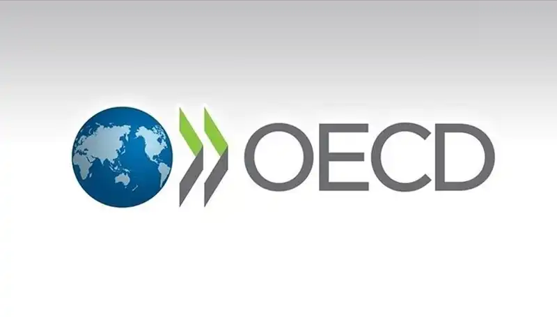 Türkiye'nin Ekonomik Geleceği: OECD'den Büyüme Tahminiyle İlgili Çarpıcı Veriler