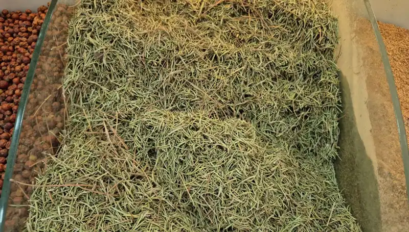 Yaz Aylarında İnternette Artan Tehlikeli Ürün Satışları: Ölüme Davetiye