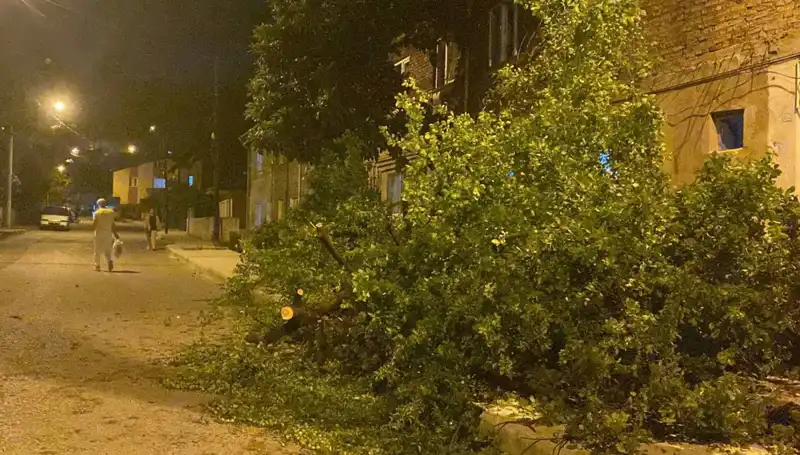 Karabük’te Fırtına Alarmı! Şehir Kayıplarla Sarsılıyor