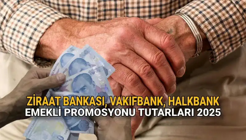 2025 Emekli Banka Promosyonları: Kamu Bankalarının Yeni Fırsatları