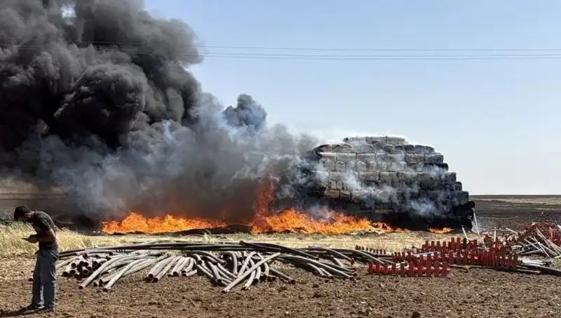 Mardin'de Anız Yangını: Tarım Alanları Tehlikede