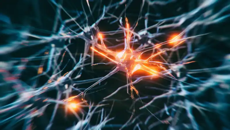Alzheimer Vakalarındaki Endişe Verici Artışın Gerçek Nedenleri