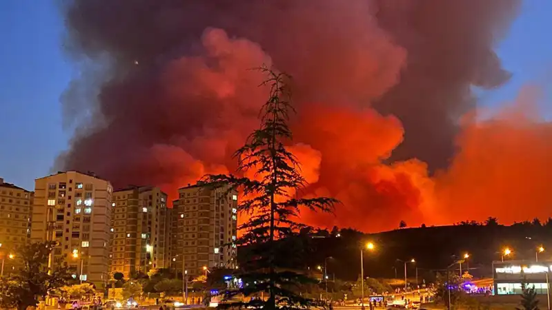 Bursa'da Yangınlar Şehri Sarmaladı: Doğa ve Hayat Tehlikede!