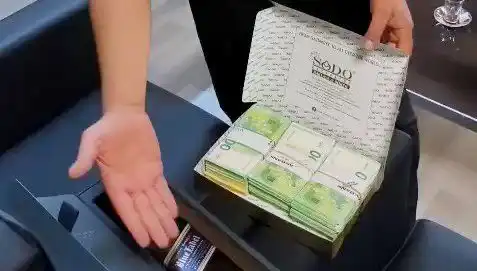 Manavgat Belediyesi’ne Düzenlenen Operasyon: Baklava Kutularında Saklanan Avrolar