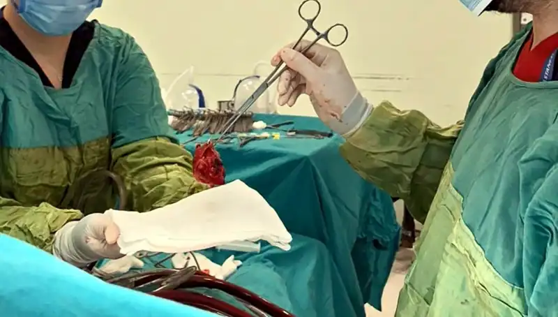 Kalp Kapağında Yaşanan Mucize: 7 Saatlik Ameliyatla Hayat Kurtarıldı