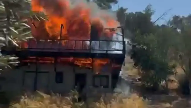 Bodrum'da Şok Yangın: Ekipler Seferber Oldu, Alevler Hızla Yayılıyor