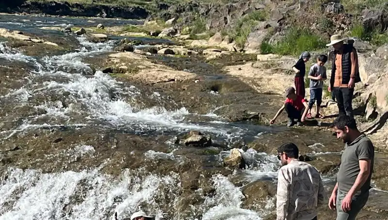 İnci Kefali Göçü: Doğanın Büyüsü ile Binlerce Turisti Kendine Çekiyor