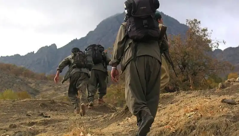 Terörsüz Türkiye'ye Doğru: Öcalan'ın Mesajı Kandil'e Erişiyor