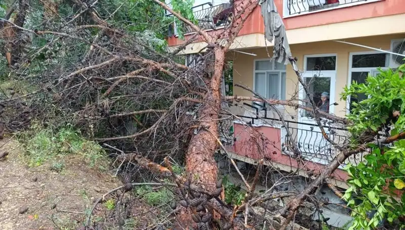 Yağmura Dayanamayan Bina, Fırtınanın Kurbanı Oldu
